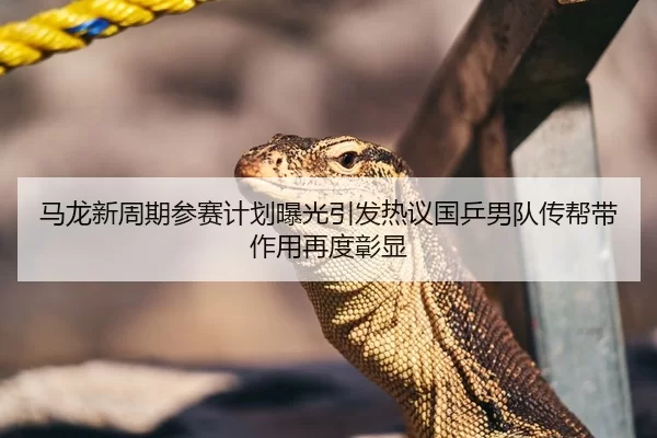 马龙新周期参赛计划曝光引发热议国乒男队传帮带作用再度彰显