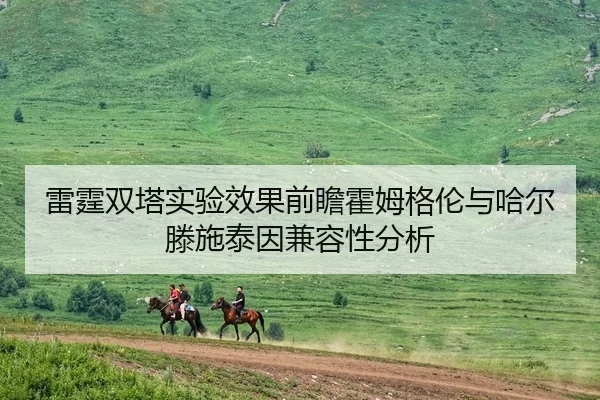 雷霆双塔实验效果前瞻霍姆格伦与哈尔滕施泰因兼容性分析