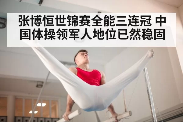 male gymnast competition