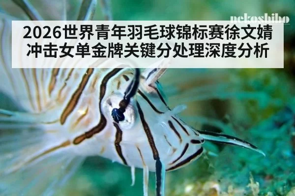 2026世界青年羽毛球锦标赛徐文婧冲击女单金牌关键分处理深度分析